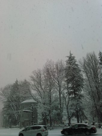 雪だ